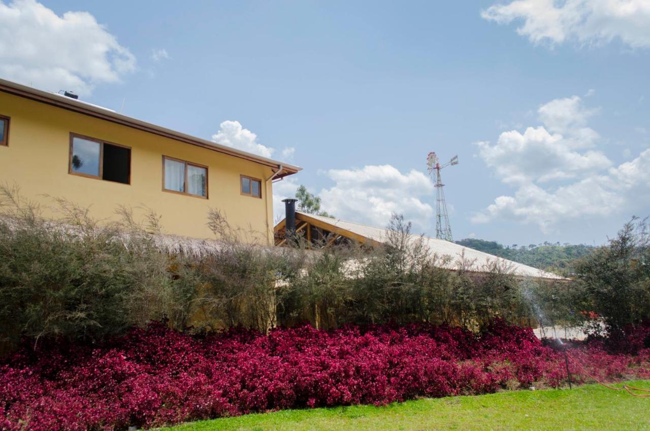 Sustentável - Santo Antônio do Pinhal